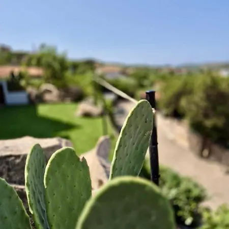 Casa Alessandra, In Villa Porto Cervo